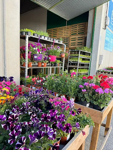 tienda 