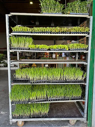 tienda 